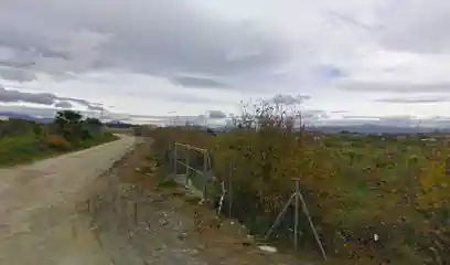 Centro Canino Ágora