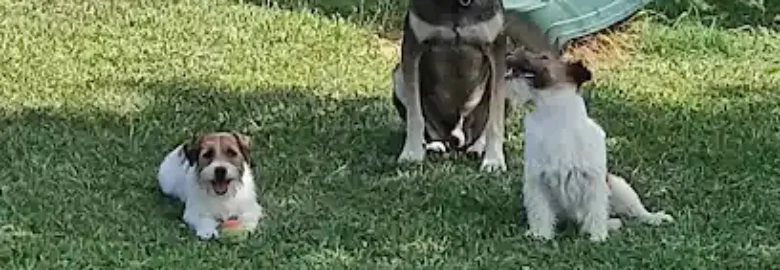 Centro Canino La Malena
