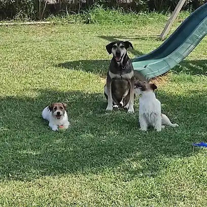 Centro Canino La Malena
