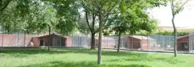 Centro Canino La Yosa