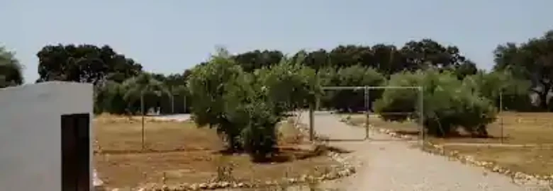 Centro Canino Parchite