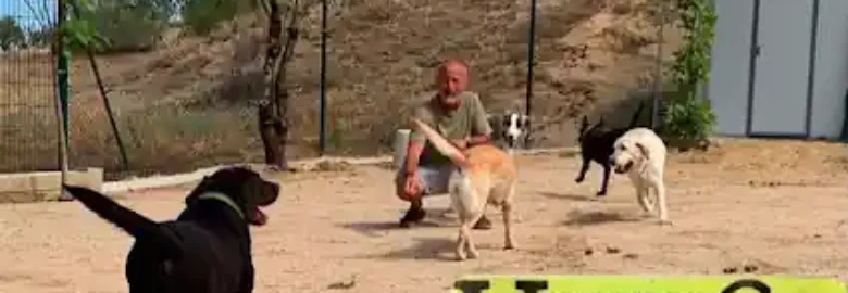 Centro Canino Vallecan