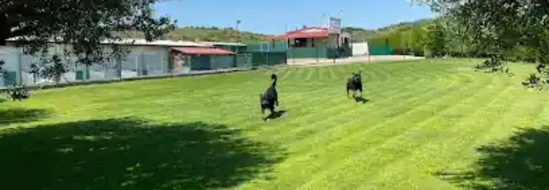Centro Canino el Olivar