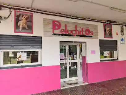 Centro Veterinario Peluchitos Vértice