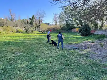 Centro canino Caiser’s home