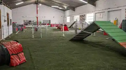 Centro canino Canedupo