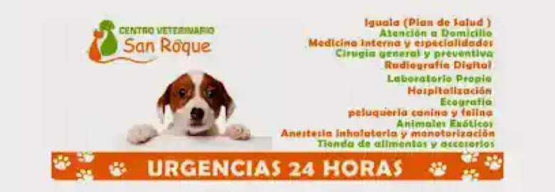 Clínica Veterinaria Badajoz San Roque