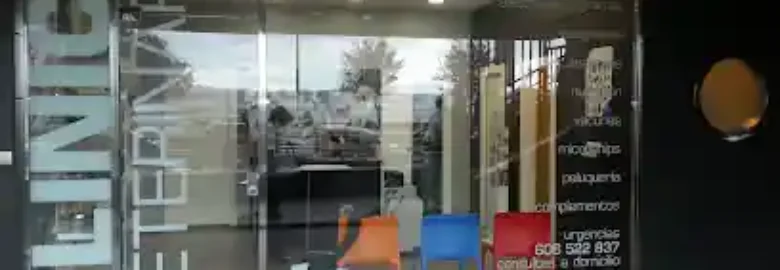 Clinica Veterinaria Santurtzi