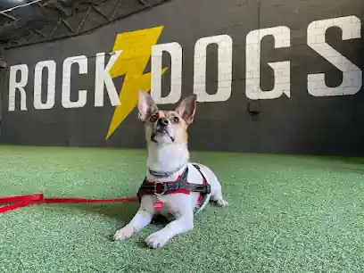 Club de adiestramiento Rock & Dogs Alicante