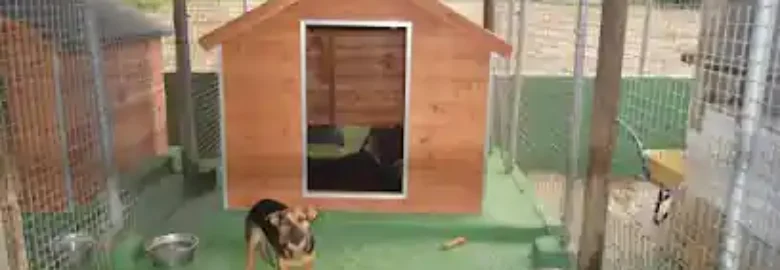 Cozy Kennels S.L