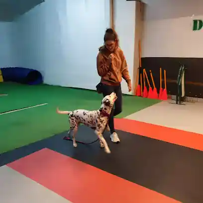 D CANS SCHOOL_k9 Somos tu escuela Canina_FwFQ