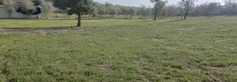DAVISCAN GUARDERIA CANINA