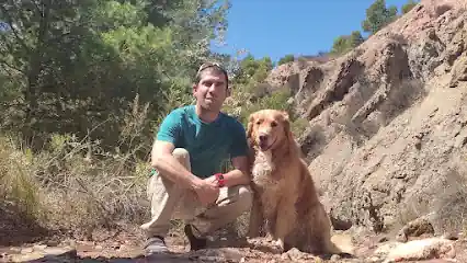 DOGS99% Educación Canina Integral