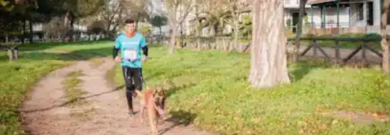 DOGTM.COM