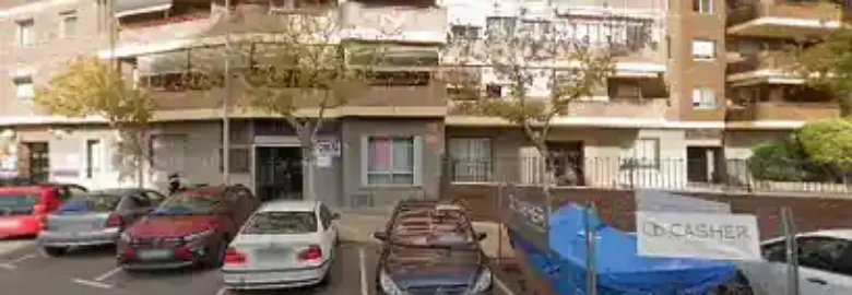 DOS adiestramiento Castellón