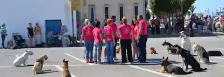 Deanacaona Adiestramiento Canino