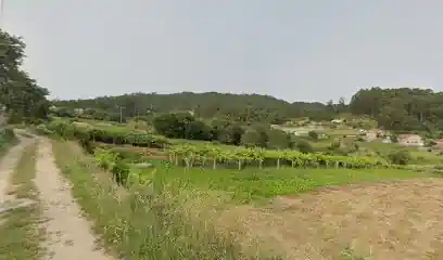 Diaiko Adiestramiento Canino