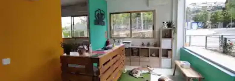 Días Perros