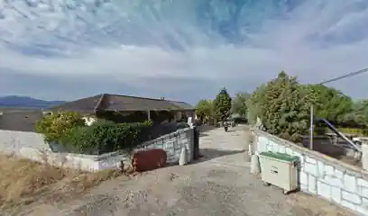 DiasDePerros Escuela Canina