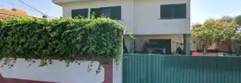 Diverdog