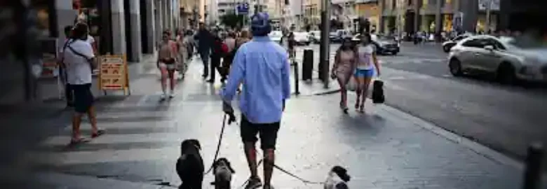 Dog & Life