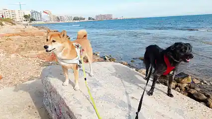 Dog Sitters- Cuidadores de perros
