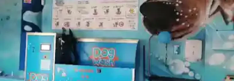 Dog Wash Sitges
