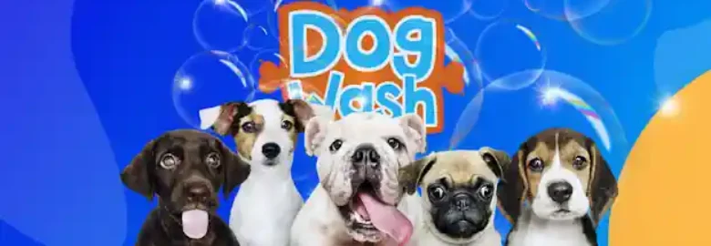 Dog Wash