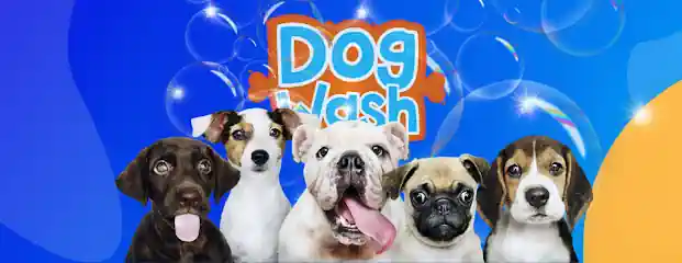 Dog Wash
