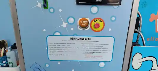 Dog Wash