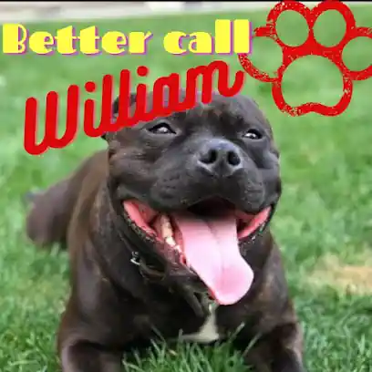 Dog training Better call William