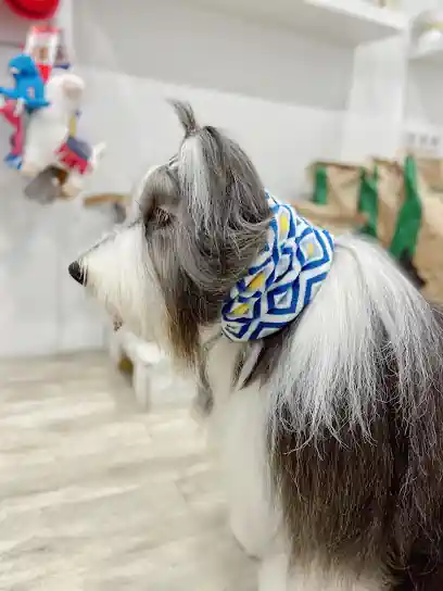Dogneer