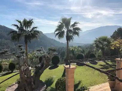 Dogs Luxury Resort