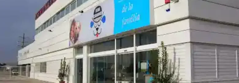 Don Canino