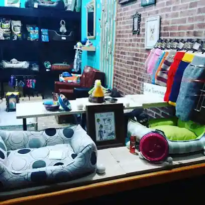 Dpelitos