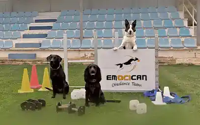 EMOCICAN Escuela Canina