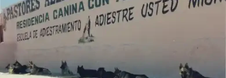 ESCUELA DE ADIESTRAMIENTO GARAL
