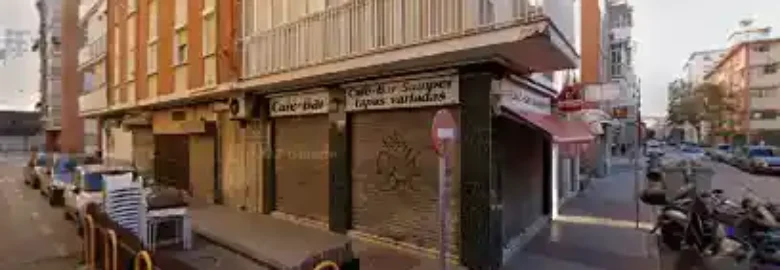 ESTILISMO CANINO