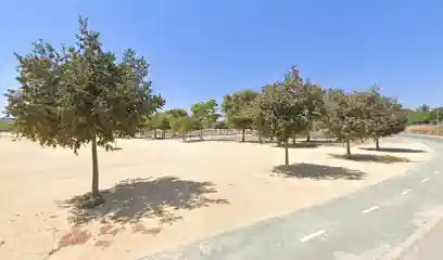 Educación canina en grupo