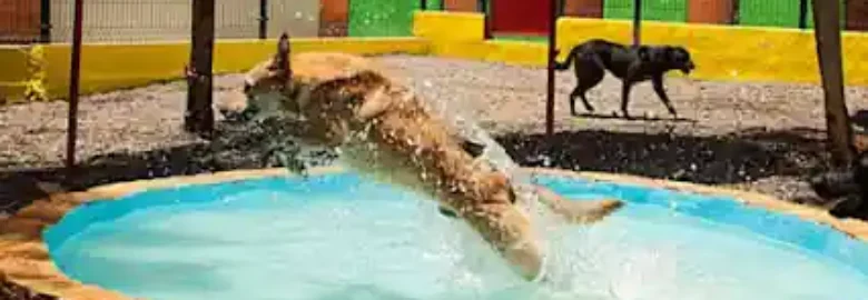 Edukatuperro