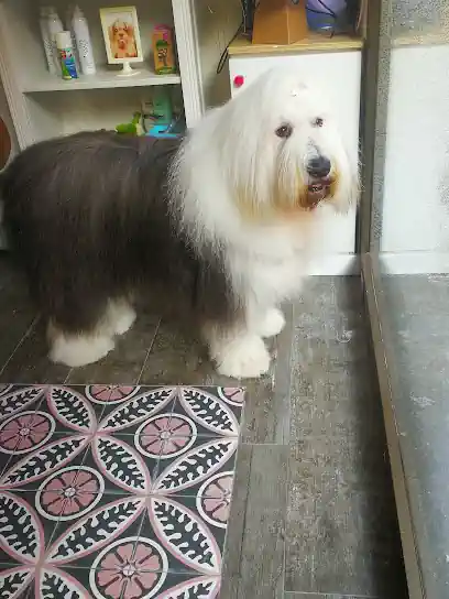 El Ca Rosa