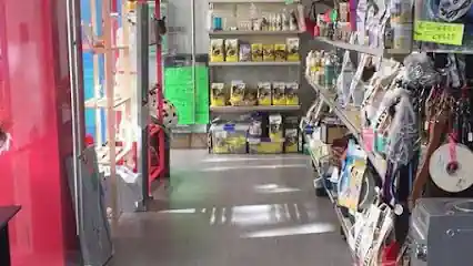 El Gato Con Botas