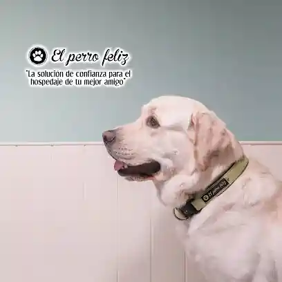 El Perro Feliz Madrid Centro