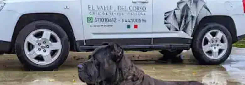 El valle del corso