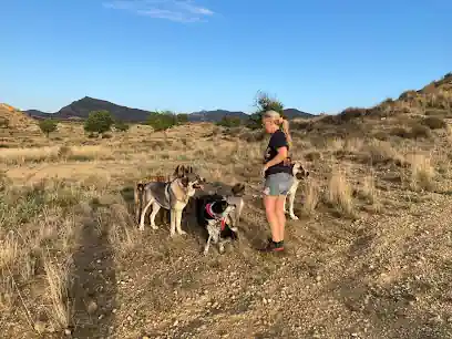 Elke Lachmann Mensch-Hund-Coach * Terapeuta Canino * Dog Coach