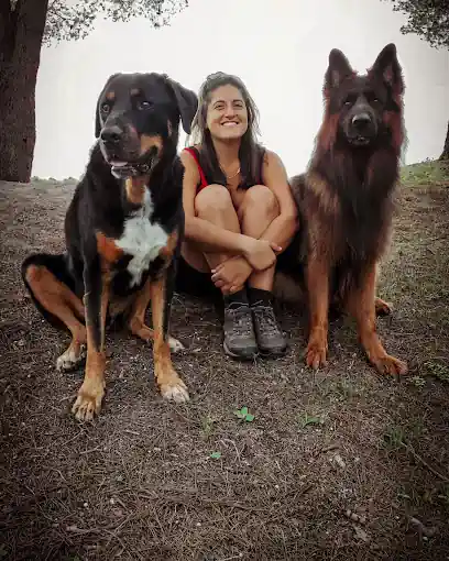 Ensenya’m – Etología y educación canina