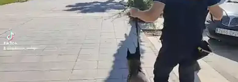 EquipoCan Adiestrador de Cachorros