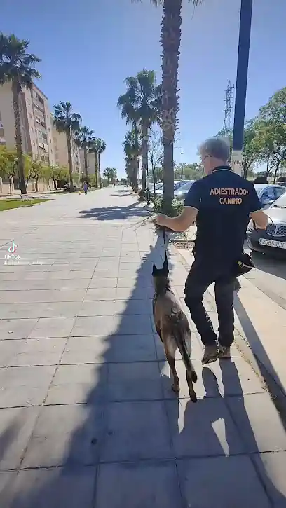EquipoCan Adiestrador de Cachorros
