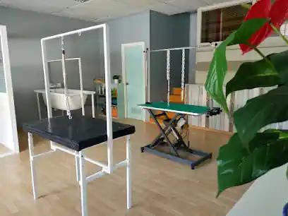 Escuela de Peluquería Canina Mónica Gómez Cáceres
