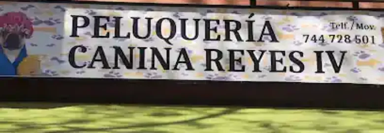 Escuela y Peluqueria Canina Reyes 4